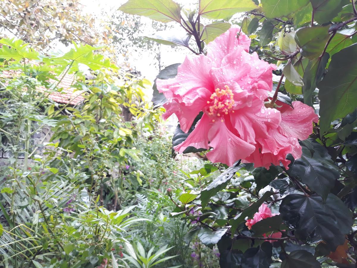 Mr. Viet Home Stay Ninh Bình Kültér fotó