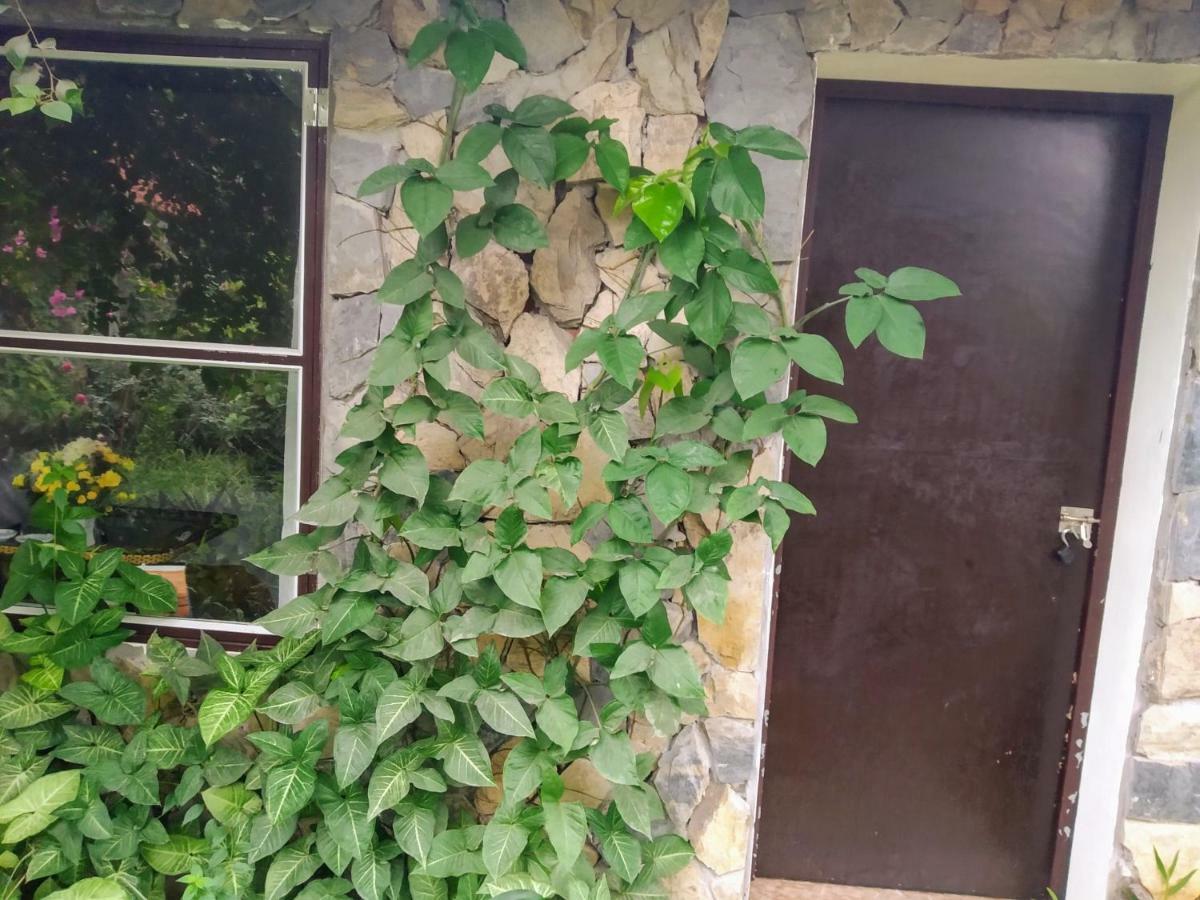 Mr. Viet Home Stay Ninh Bình Kültér fotó